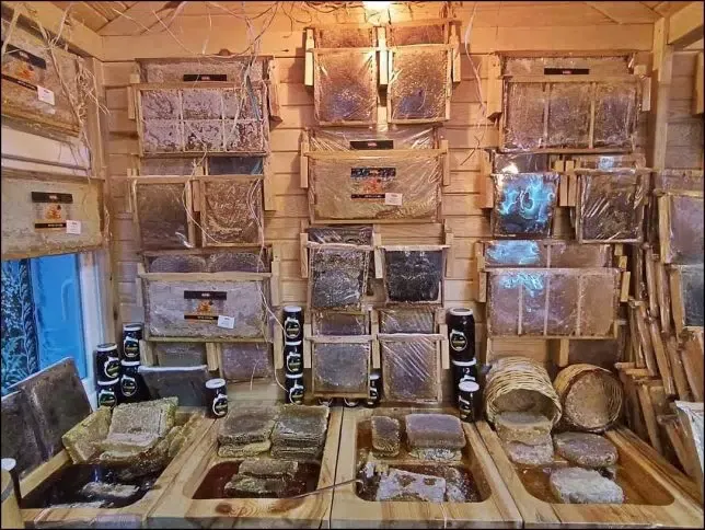 Zeytin Deryası - Photo 2