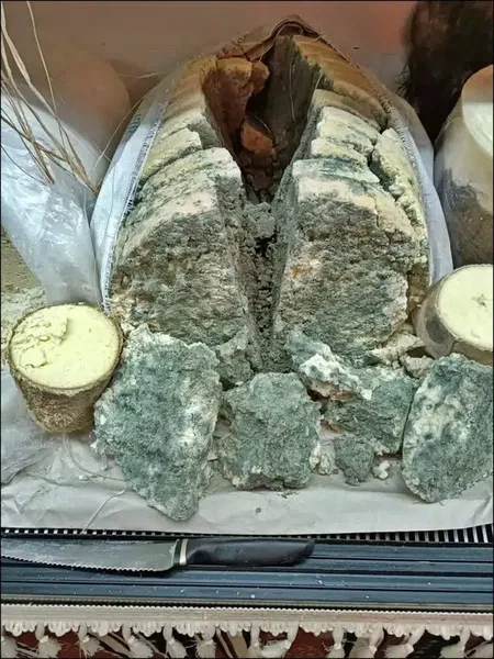 Zeytin Deryası - Photo 5