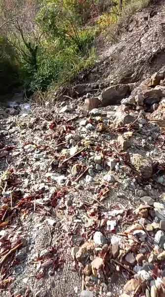 Zeytinbükü Köprüsü - Photo 4