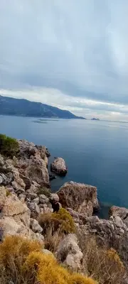 Zeytinlik