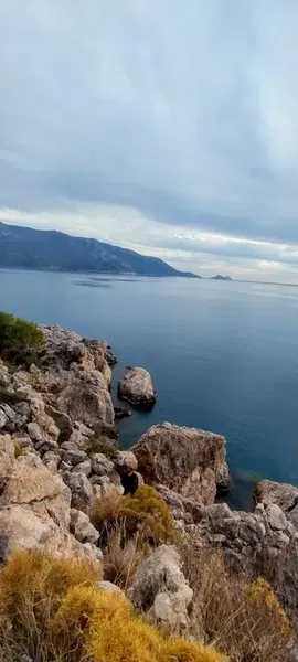 Zeytinlik - Photo 1