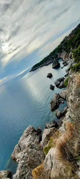 Zeytinlik - Photo 3