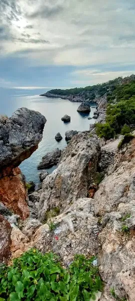 Zeytinlik - Photo 4