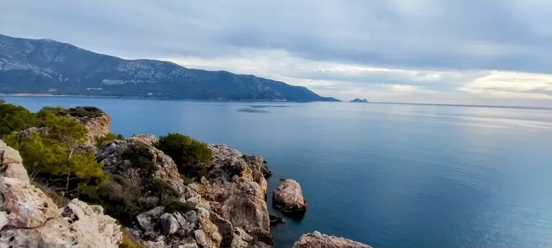 Zeytinlik - Photo 5