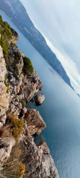 Zeytinlik - Photo 6