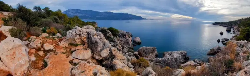 Zeytinlik - Photo 7
