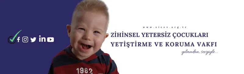 Ziçev - Photo 6