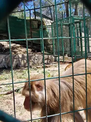 Zoo park