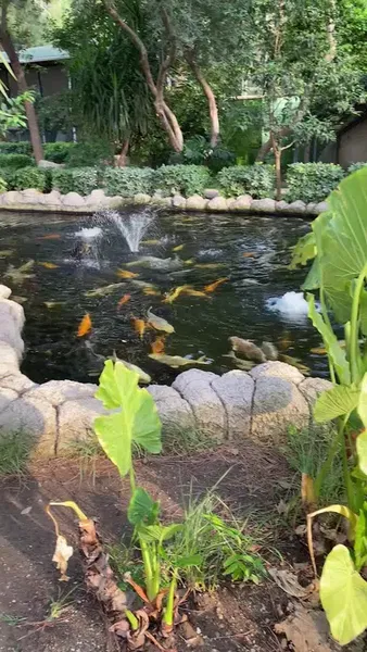 Zoo park - Photo 2