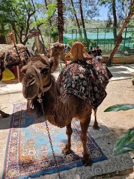 Zoo park - Photo 6