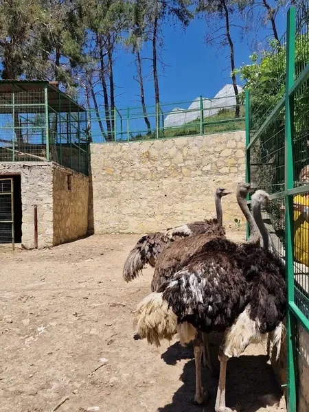 Zoo park - Photo 7