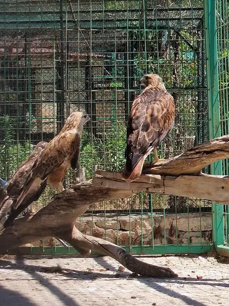 Zoo park - Photo 9