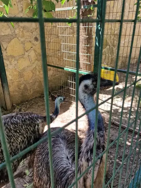 Zoo park - Photo 10