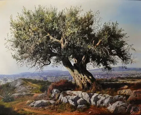 Zorlu nun Taşağıl zeytin çiftliği