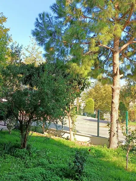 Zübeyde Yavuz Sanat Atölyesi - Photo 5