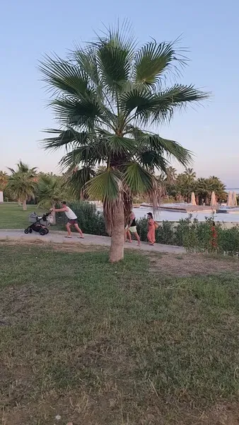Çadır ve Karavan Park Alanı II - Photo 3