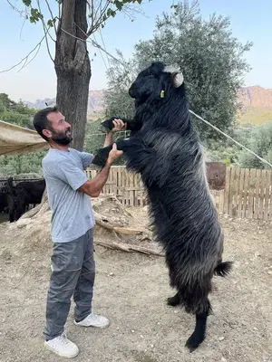 Çakir Besi̇ci̇li̇k