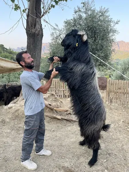 Çakir Besi̇ci̇li̇k - Photo 1