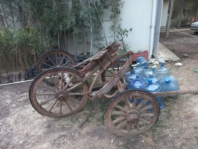 Çakmak Fidancılık - Photo 2