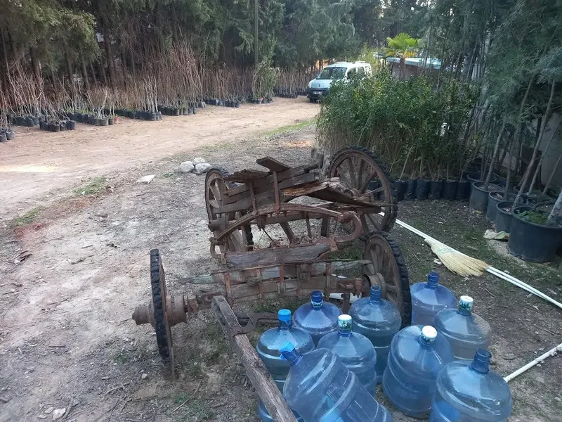 Çakmak Fidancılık - Photo 5