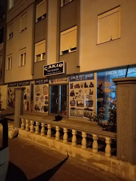Çakır Petshop - Photo 3
