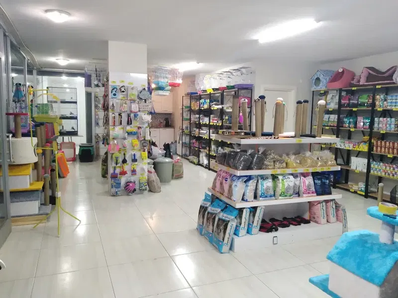 Çakır Petshop - Photo 5