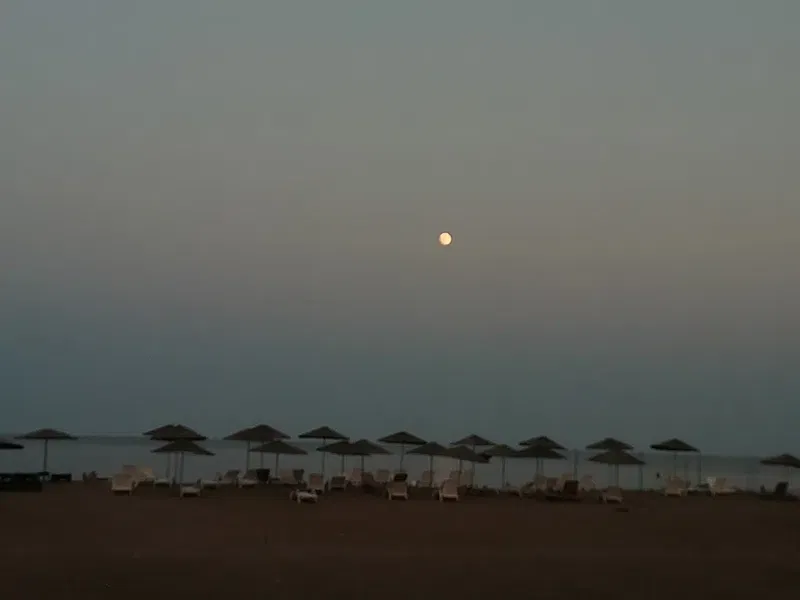 Çallı Halk Plajı - Photo 6