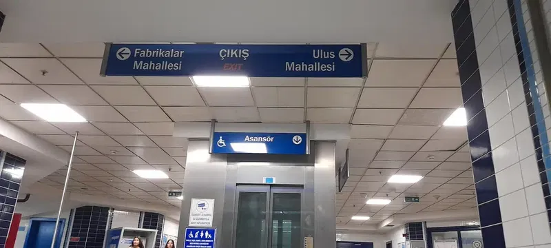 Çallı - Photo 2