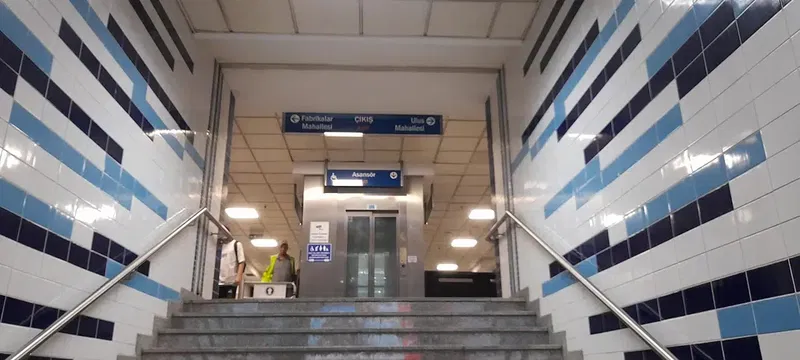 Çallı - Photo 3