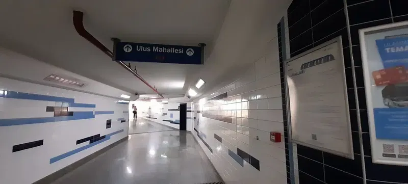 Çallı - Photo 4
