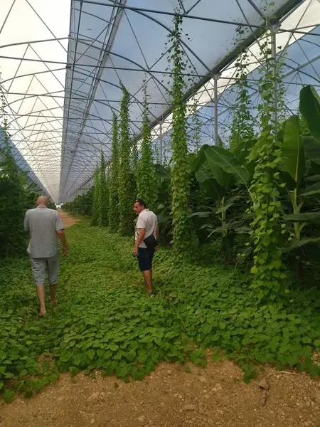 Çalışkan tavukçuluk - Photo 10