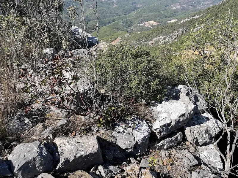 Çamlıca kalesi - Photo 3