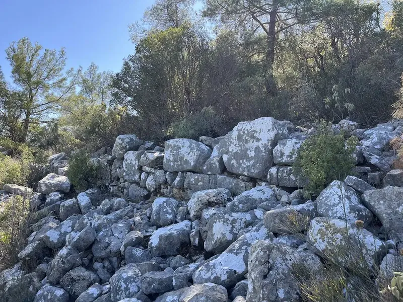Çamlıca kalesi - Photo 9