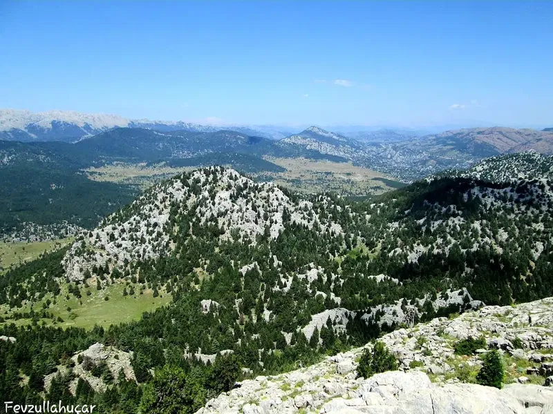Çamlık / Dalayman - Photo 3