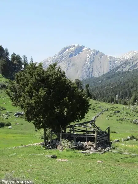 Çamlık / Dalayman - Photo 9