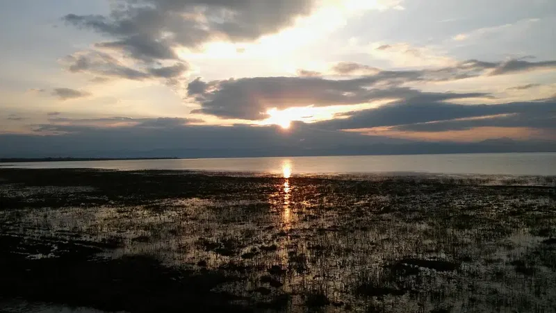 Çamlık İlk-ortaokulu - Photo 7