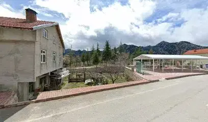 Çamlık Mezarlığı 1