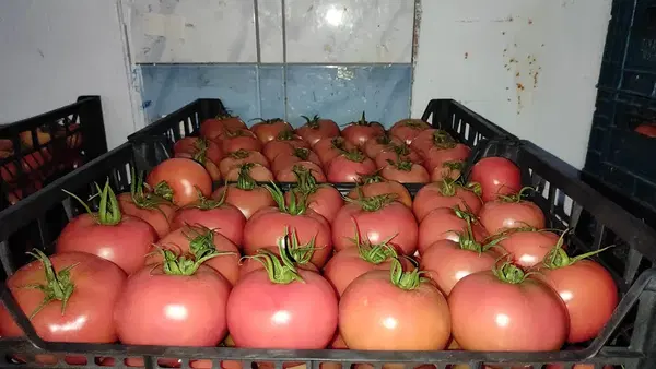 Çağdaş konu hal no:3