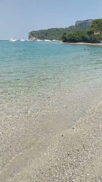 Çekirdeksiz Mandalin Camping Kemer Antalya Çadır Karavan Kamp Alanı - Photo 6