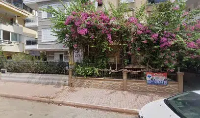 Çelik Gayrimenkul Yatırım ve Danışmanlık