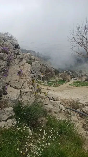 Çesme Başı - Photo 1