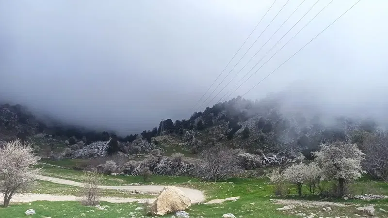 Çesme Başı - Photo 4