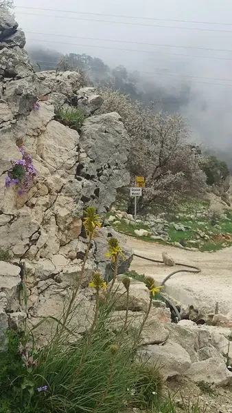 Çesme Başı - Photo 6