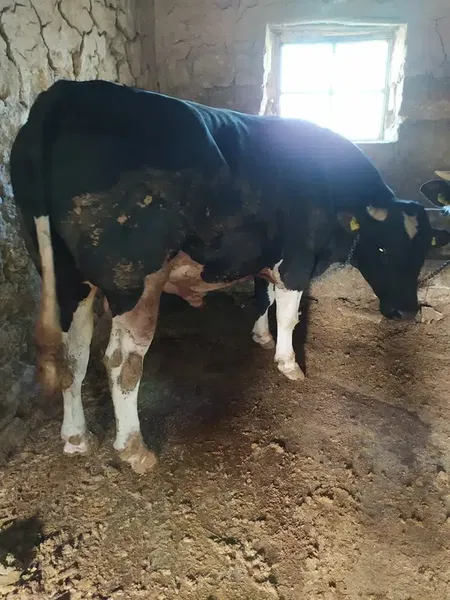Çeti̇n Un Fabri̇kasi San.Ti̇c.Ltd.Şti̇ - Photo 2