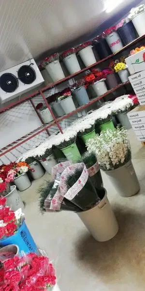 Çiftçioğlu Çiçekçilik - Photo 1
