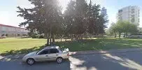 Çimenlikteki alkolculer - Photo 1