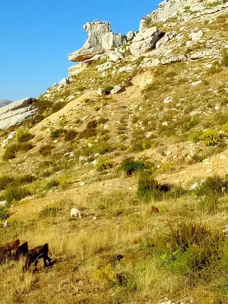 Çizme Taşı - Photo 7