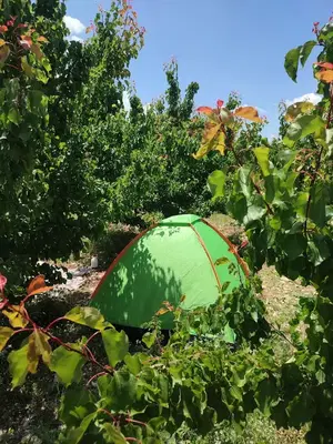 Çiğlik Yaylasi