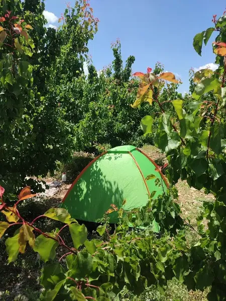 Çiğlik Yaylasi - Photo 1
