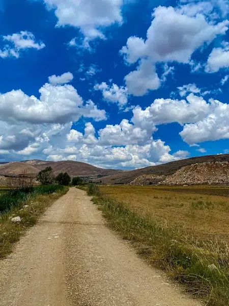 Çiğlik Yaylasi - Photo 2